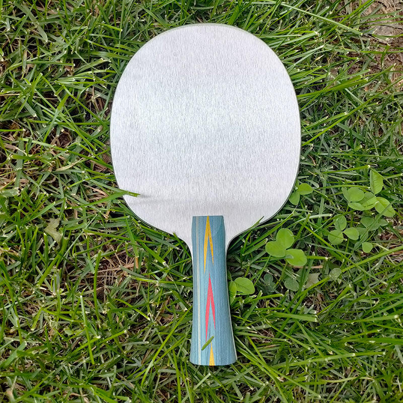 Aluminum Alloy Table Tennis Ba - Allsports Equipment ulasan dan harga