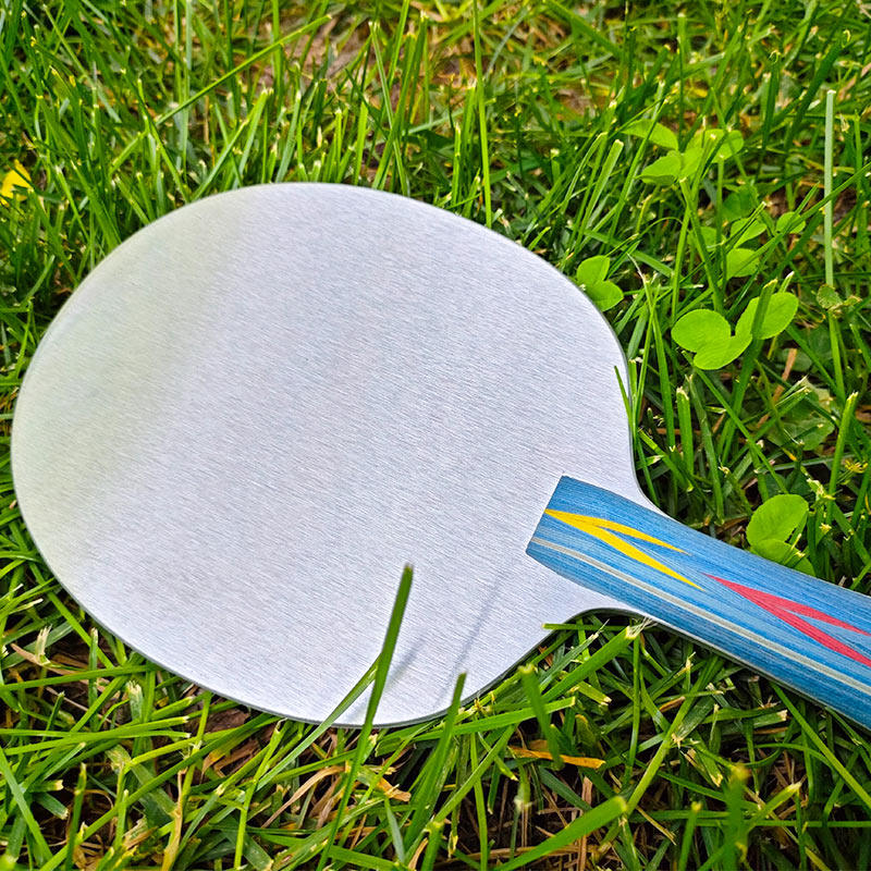 Aluminum Alloy Table Tennis Ba - Allsports Equipment ulasan dan harga