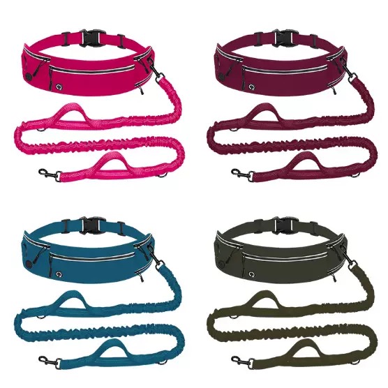 Pet Leash for Running with Wai - Allsports Equipment ulasan dan harga